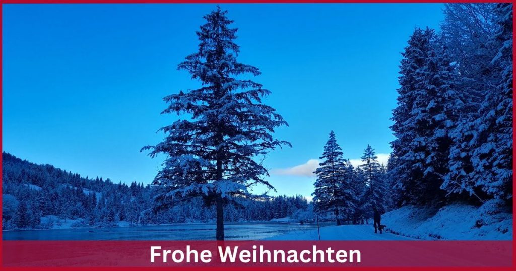 Frohe Weihnachten 2022