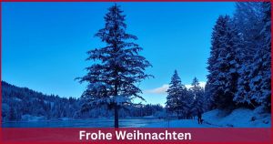Frohe Weihnachten 2022