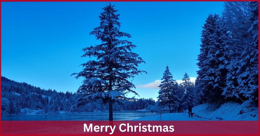 Merry Christmas 2022