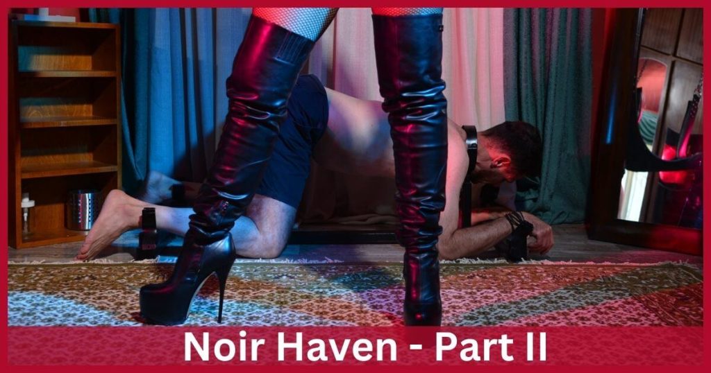 Noir Haven